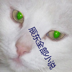 辰東全部小說