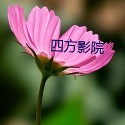 四方影(yǐng)院(yuàn)
