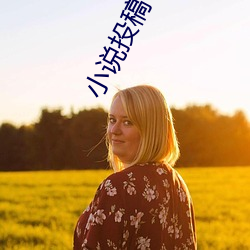 小说投稿