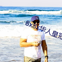 8x8x華人皇冠免費