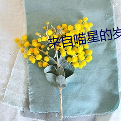 来自喵(miāo)星的(de)岁(suì)酱(jiàng)