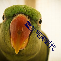 重生完美(měi)时代