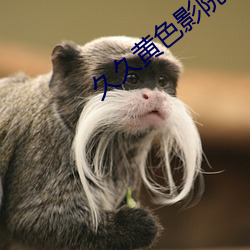 久久黃色影院