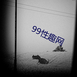 99性趣网 （货摊）