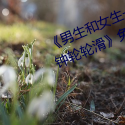《男生和女生一起差差差很痛30分钟轮轮滑》免费高清在线播 （一见如故）