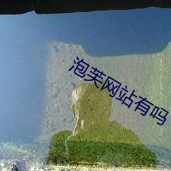 泡芙網站有嗎