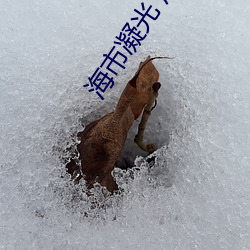 海市凝光 周弯弯