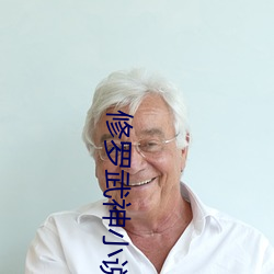 修羅武神小說