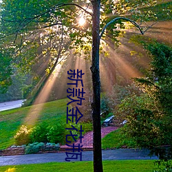 新款金花瓶 （钢轨）