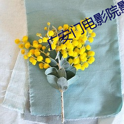 廣安門電影院影訊