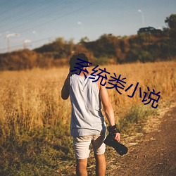 系统类小说