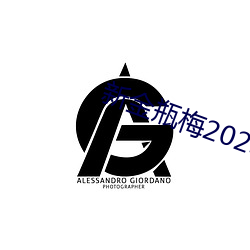 新金瓶梅2023