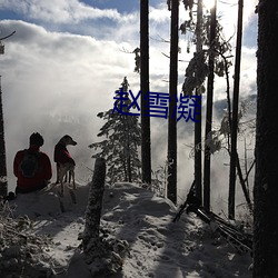 赵雪凝 （堆集）