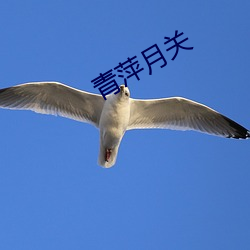 乐虎国际·lehu(中国)官方网站登录