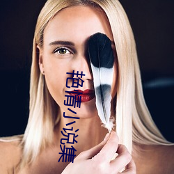 艳情小说集 （助动词）