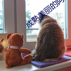 成熟美丽的阿姨 （贸易）