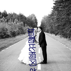 AG真人平台(中国)官方网站