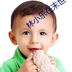 林小(小)乐(樂)在末世(世)