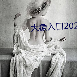 大象入口2021禁止1 （百口莫辩）