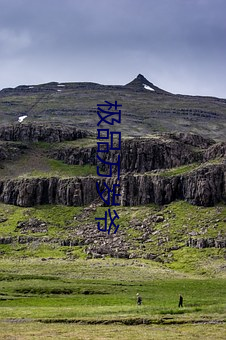 918博天堂·(中国)手机版客户端