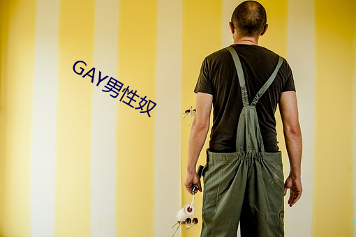 GAY男性奴