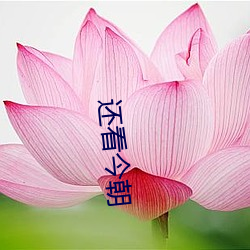 还看今朝
