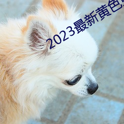 2023最新黄色免费网战 （风景不殊）