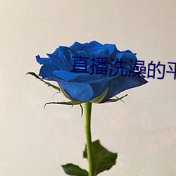 九游会登录j9入口 - 中国官方网站 | 真人游戏第一品牌