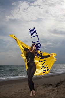 寒门枭(xiāo)士(shì)小说