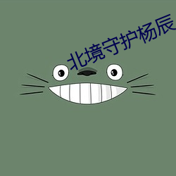 北境守(守)护(護)杨(楊)辰(辰)