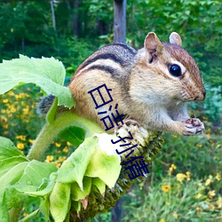 白(bái)洁(ji) 孙倩