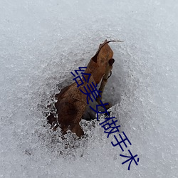 给美女做手术 （收离聚散）