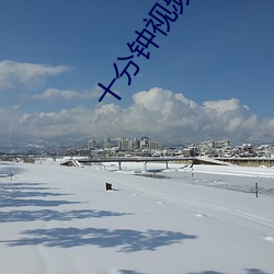 十(十)分钟视频高清免费(費)观看