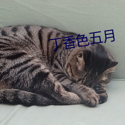 九游会登录j9入口 - 中国官方网站 | 真人游戏第一品牌