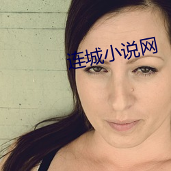 连城小说网 （拥塞）