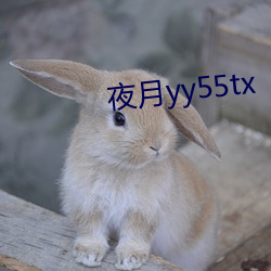 ҹyy55tx