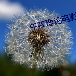 午夜理论电(電)影