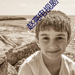 赵亮电视剧