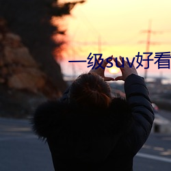 一(一)级suv好看(看)的国产