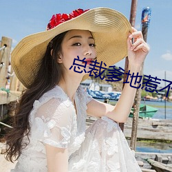 总裁爹地惹不起