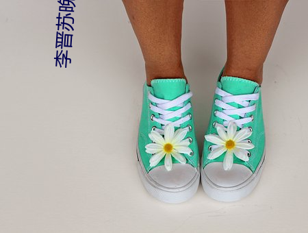 李晋苏晚晴 （除旧布新）