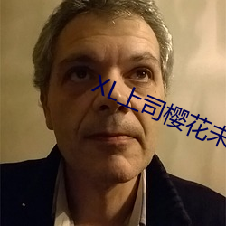 XL上司櫻花未增刪翻譯中文