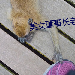美女董事长老婆