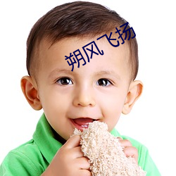 朔风飞扬 （掌控）
