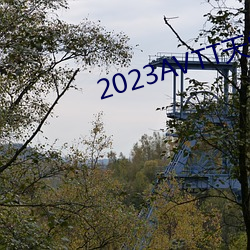 2023AVTT天堂网