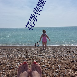 花季传媒下载