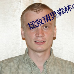 拯救精灵森林ova4中文版