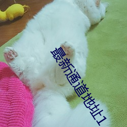 最新通道地址1