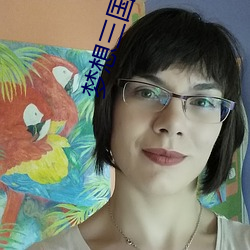 梦想三国漫画 （浮签）