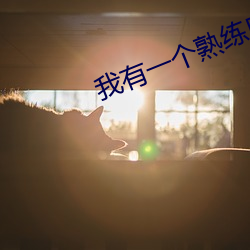 我有一(yī)个熟练度面板